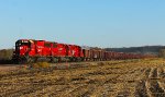 CP 6223